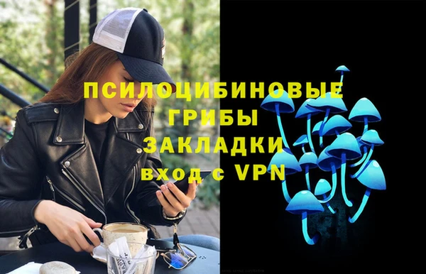 мяу мяу мука Рославль