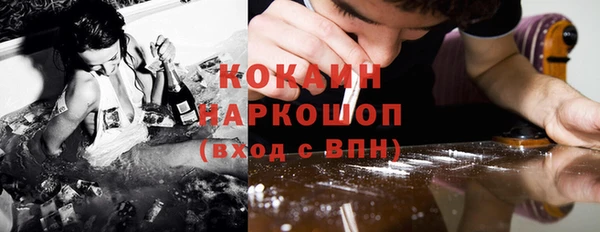 шишки Ростов